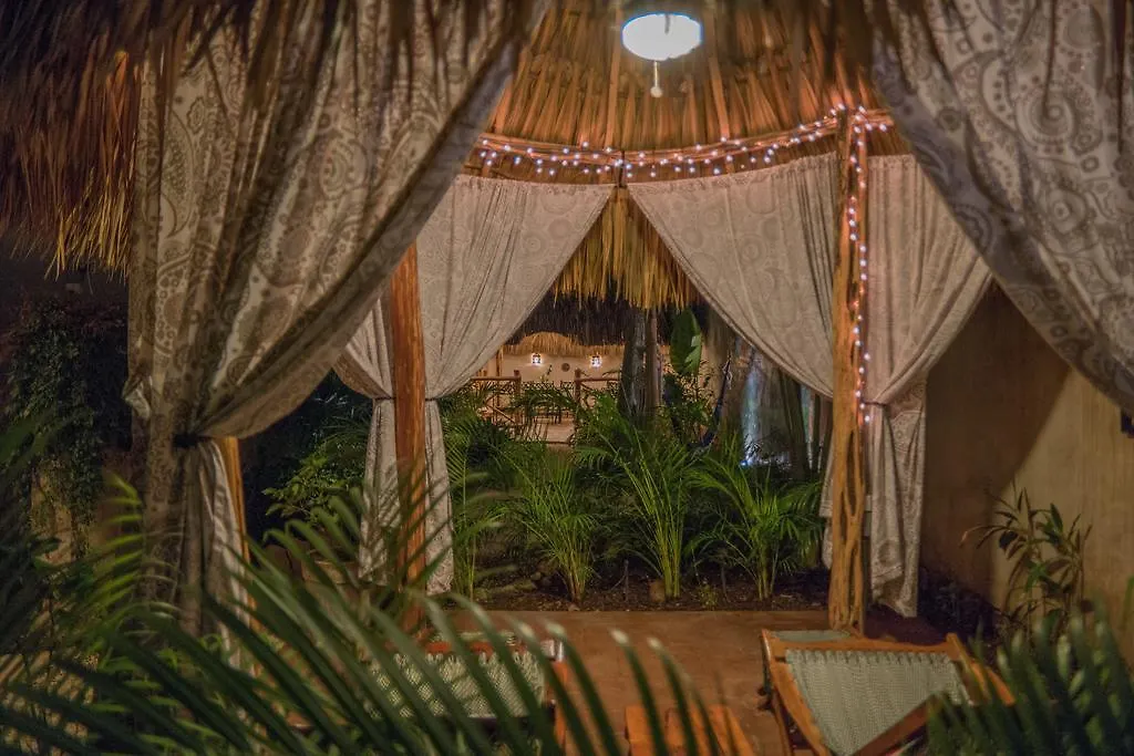 Casa Del Maya Bed & Breakfast Merida