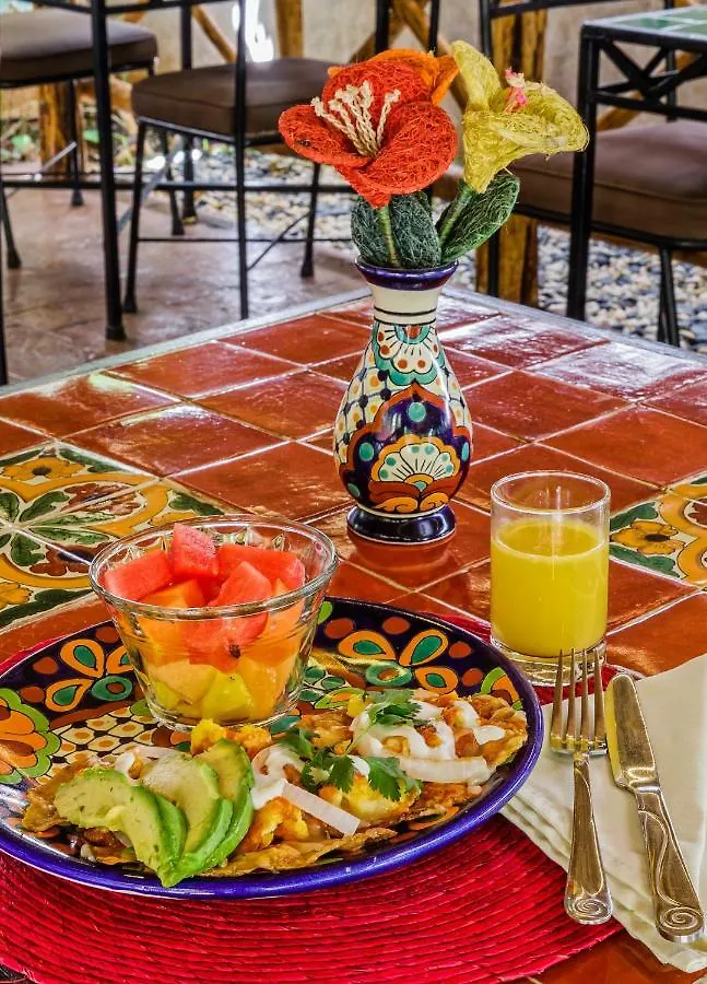 Casa Del Maya Bed & Breakfast Merida Mexico
